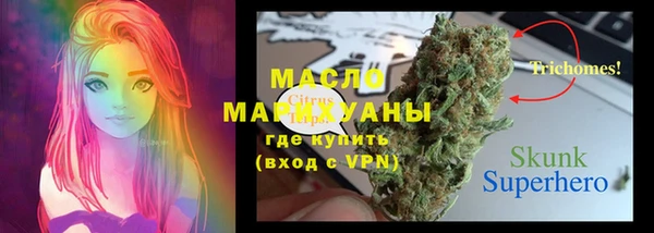 прущие грибы Алзамай