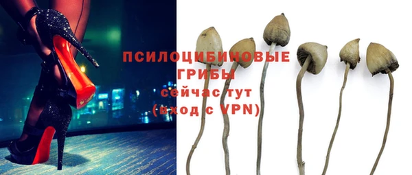 Альфа ПВП Армянск