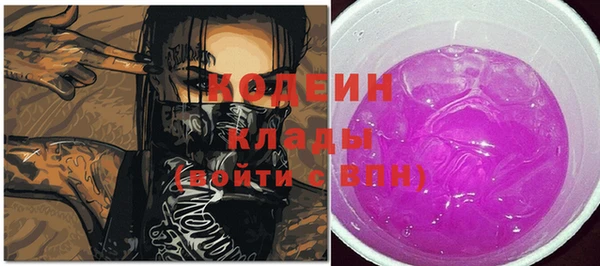 соль ск Арсеньев