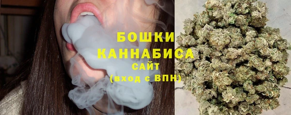 прущие грибы Алзамай