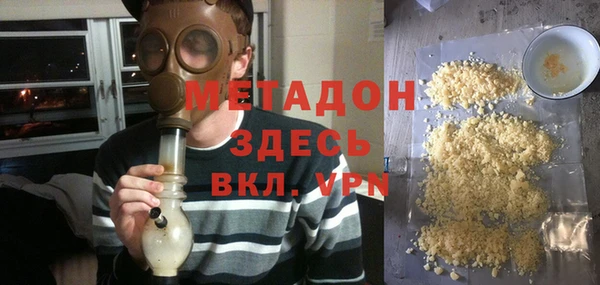 прущие грибы Алзамай