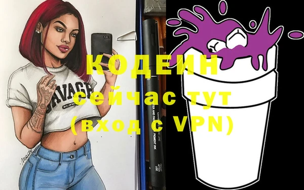 соль ск Арсеньев