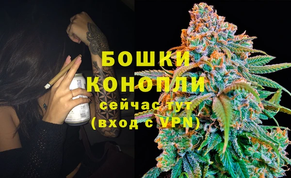 соль ск Арсеньев