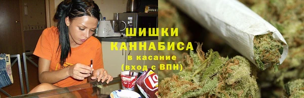 прущие грибы Алзамай